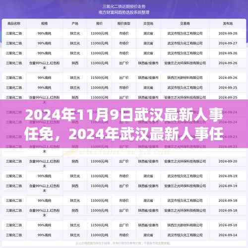 武汉市人事任免动态更新,城市管理的崭新篇章开启