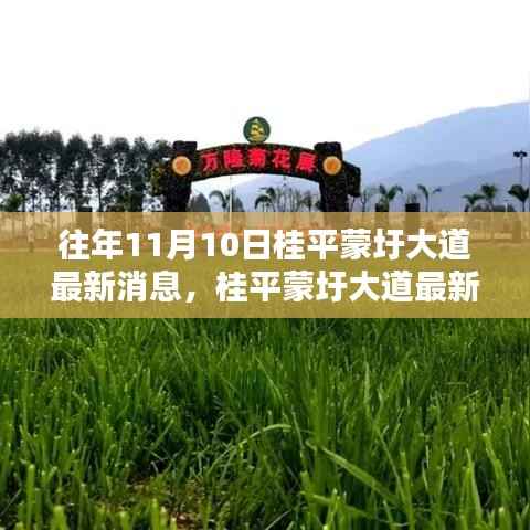 桂平蒙圩大道最新动态获取全攻略,轻松掌握最新消息动态