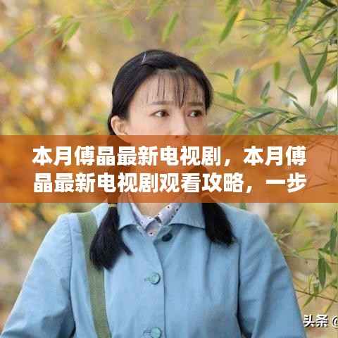 本月傅晶最新电视剧观看指南,轻松追剧的攻略与步骤解析