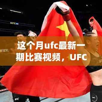 UFC本月巅峰对决,震撼格斗界,背景与事件回顾
