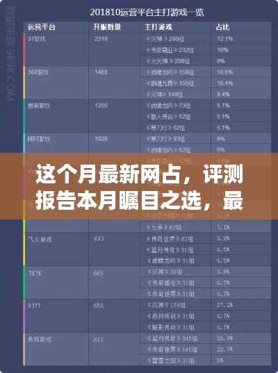 本月瞩目之选,最新网占全面解析与评测报告