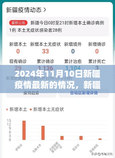 2024年11月10日新疆疫情最新进展与动态