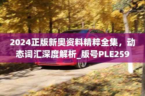 2024正版新奥资料精粹全集，动态词汇深度解析_版号PLE259.74