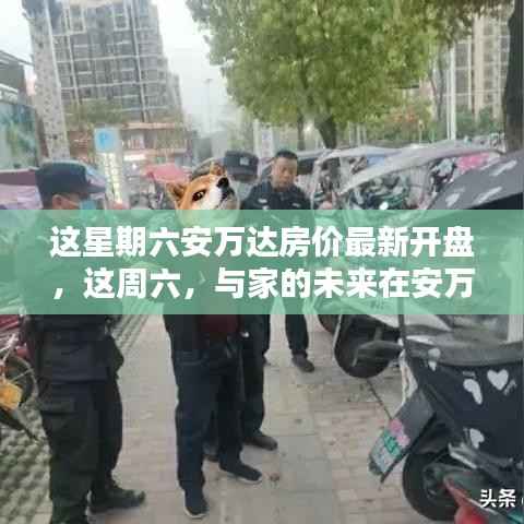 安万达最新房价开盘,周六遇见家的未来