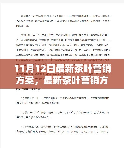 11月12日版茶叶营销方案实战指南,从入门到精通