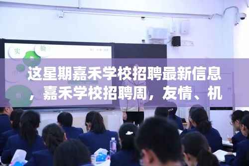 嘉禾学校招聘周,友情、机遇与成长的交汇点