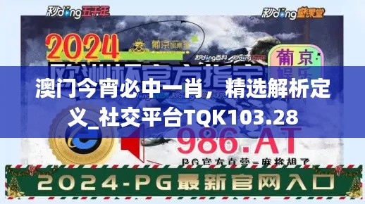 澳门今宵必中一肖,精选解析定义_社交平台TQK103.28