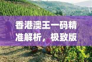 香港澳王一码精准解析，极致版图库动态赏析_BEG295.41