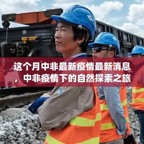 中非疫情最新动态,自然探索之旅寻求内心宁静与力量