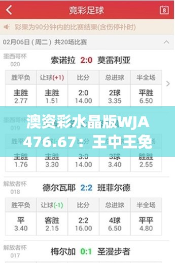 澳资彩水晶版WJA476.67:王中王免费资料,深度解析与解答