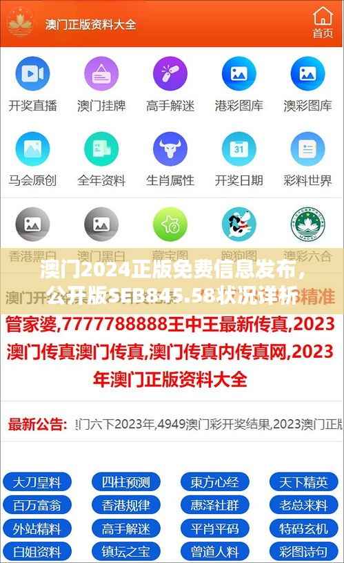 澳门2024正版免费信息发布，公开版SEB845.58状况详析
