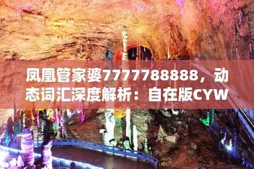 凤凰管家婆7777788888,动态词汇深度解析:自在版CYW389.88