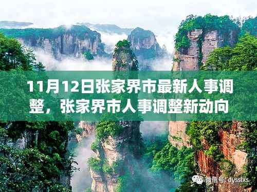 张家界市人事调整最新动态,深度解析与观点阐述