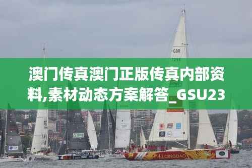 澳门传真澳门正版传真内部资料,素材动态方案解答_GSU236灵王境