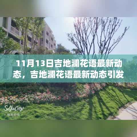 吉地澜花语最新动态引发热议,解读其未来发展走向