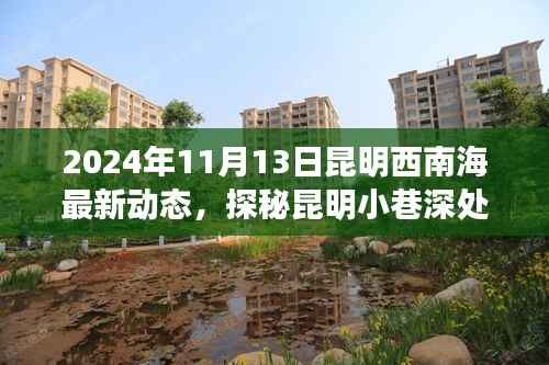 探秘昆明西南海,小巷深处的独特风味与特色小店新动态(2024年11月13日)