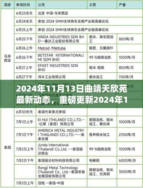 揭秘,2024年11月13日曲靖天欣苑最新动态重磅更新