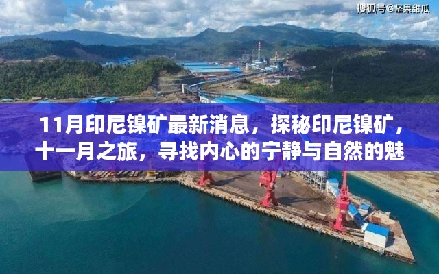 探秘印尼镍矿,十一月之旅,与自然共舞,追寻内心宁静的魅力