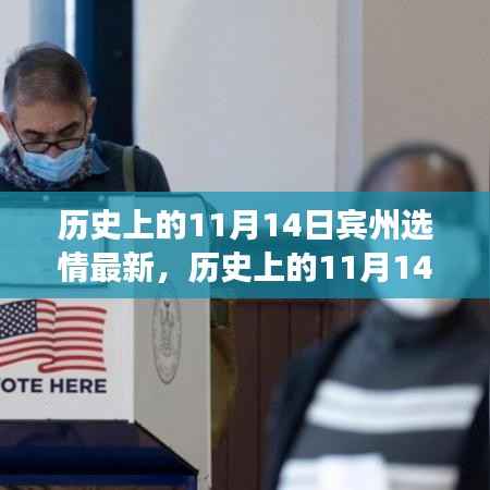 透视宾州选情,历史上的11月14日深度解析与各方观点透视