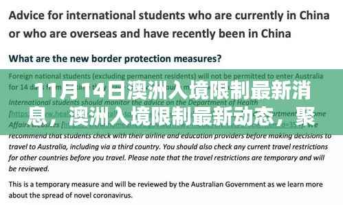 澳洲入境限制最新动态解析，聚焦11月14日的更新要点