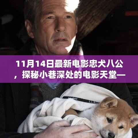 探秘电影天堂,忠犬八公特色小店的魅力之旅