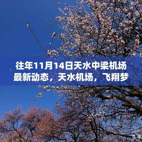 天水机场十一月十四日最新动态,飞翔梦想激发自信与成就,鼓舞人心时刻