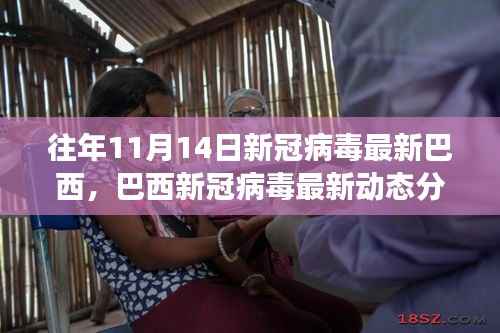 历年11月14日巴西新冠病毒动态分析,最新数据与趋势探讨