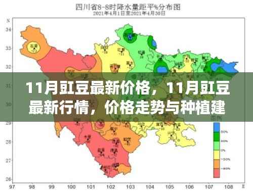 11月豇豆行情分析,最新价格、走势及种植建议