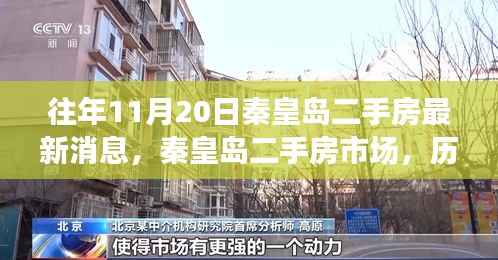 历年11月20日秦皇岛二手房市场动态及深度洞察