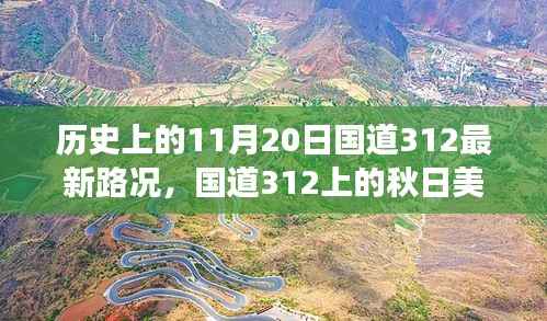 国道312秋日美景与最新路况,心灵之旅启程于历史性的11月20日