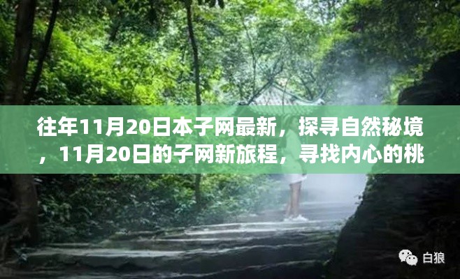 往年11月20日本子网最新,探寻自然秘境,11月20日的子网新旅程,寻找内心的桃花源