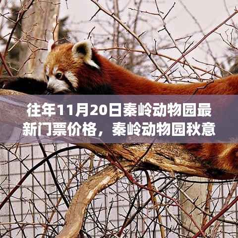 秦岭动物园秋意浓时启幕,探寻自然美景之旅与最新门票价格发布!