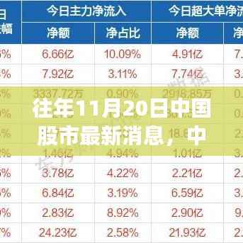 往年11月20日中国股市动态解析,获取最新消息指南及初学者进阶技巧
