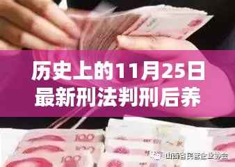 养老金新篇章,11月25日刑法判刑后的温馨日常