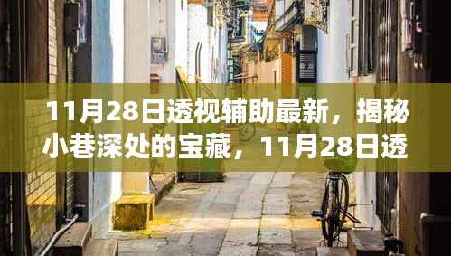 11月28日透视辅助之旅,探索小巷深处的宝藏与独特特色小店