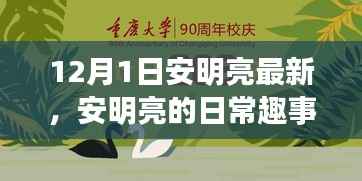 安明亮日常趣事,温馨时光回顾,12月1日的精彩瞬间