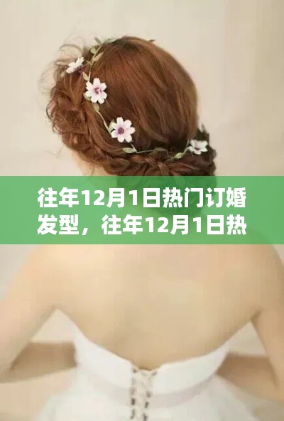 『往年12月1日热门订婚发型深度解析与全面评测』
