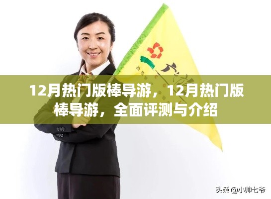 12月热门版棒导游,全面评测与详细介绍