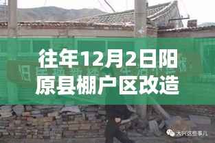 肝胆相照 第11页