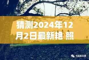 2024年12月2日最新艳照,友情、回忆与爱的温馨时光奇妙碰撞