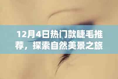 12月4日热门款睫毛推荐,探索自然美景,寻找心灵宁静角落之旅