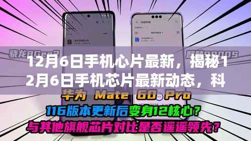 揭秘,12月6日手机芯片最新动态,科技与创新融合引领未来趋势