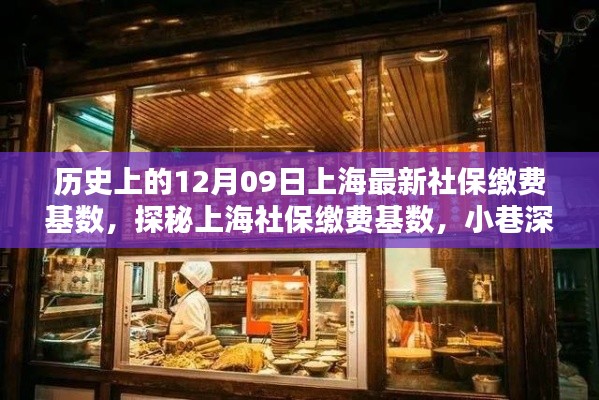 探秘上海社保缴费基数,历史变迁中的特色小店与独特风情(上海最新社保缴费基数解析)