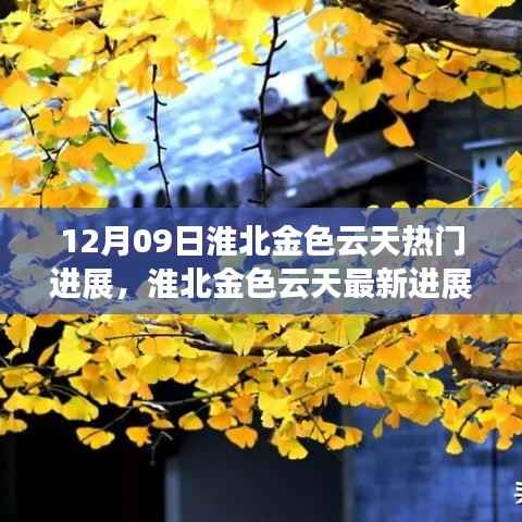 淮北金色云天最新进展报告,聚焦十二月九日热门动态