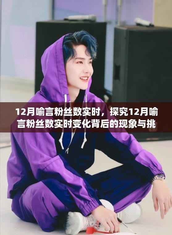 探究喻言粉丝数实时变化背后的现象与挑战,12月粉丝增长分析