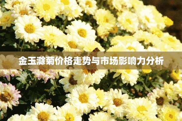 金玉滁菊价格走势与市场影响力分析