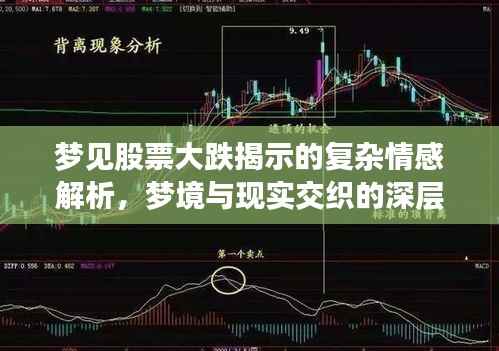 梦见股票大跌揭示的复杂情感解析，梦境与现实交织的深层解读