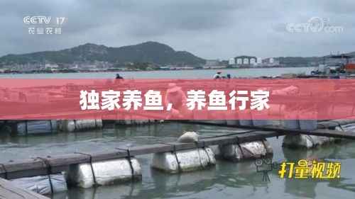 独家养鱼,养鱼行家