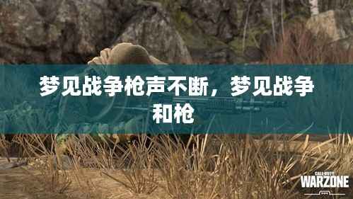 梦见战争枪声不断,梦见战争和枪