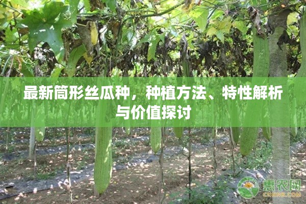 新闻中心 第115页